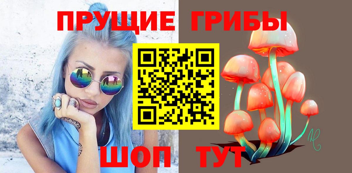Галлюциногенные грибы ЛСД Димитровград
