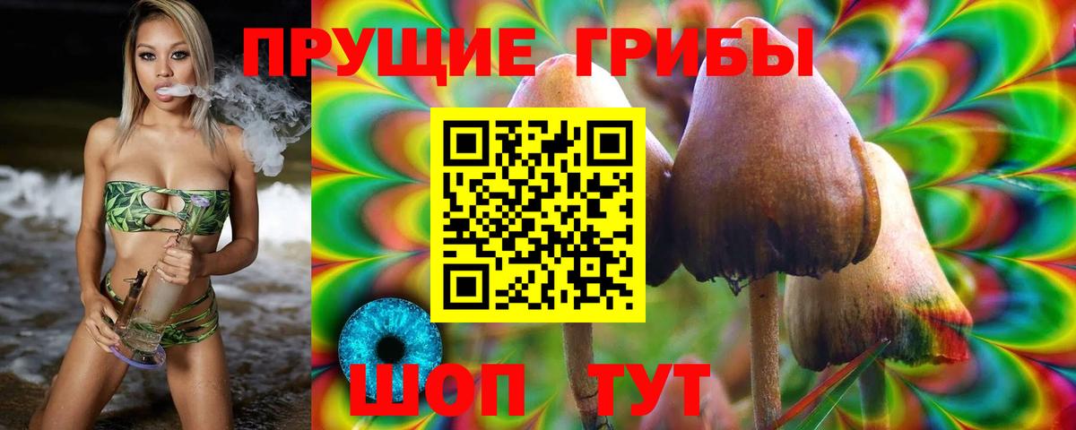 Галлюциногенные грибы Psilocybine cubensis  Вход с VPN  Димитровград  Псилоцибиновые грибы GOLDEN TEACHER 